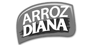 Arroz Diana